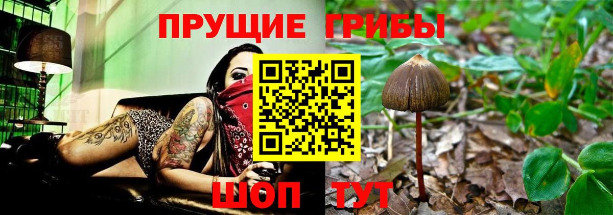 Галлюциногенные грибы ЛСД  Вход с VPN  Еманжелинск 